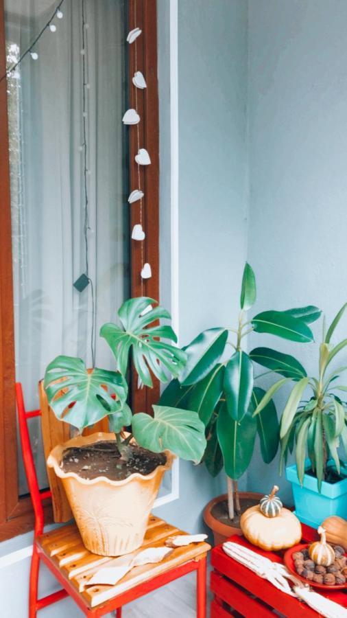 Sweet Apartment In Kʼutʼaisi Exterior foto